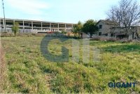 Nekretnina: PALILULA Zage Malivuk-Krnjača ID: 837293008