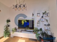 Nekretnina: OPŠTINA ZEMUN Šumadijska-Zemun ID: 980771