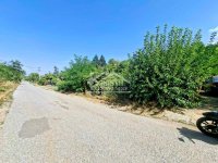 Nekretnina: Smederevo - Orešac - Seone ID#25773