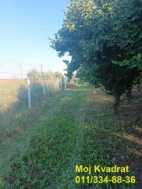 Nekretnina: Stara Pazova - Nova Pazova, 114.13 ari