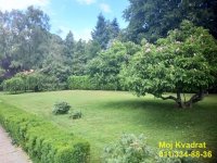 Nekretnina: Savski venac, Dedinje - kod Užičke ulice, 270m2