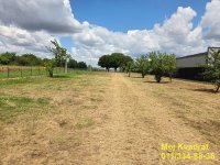 Nekretnina: Surčin, Ledine - Vojvođanska, 25a