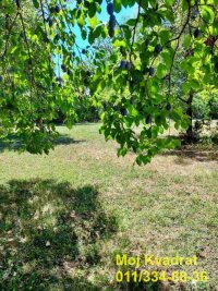 Nekretnina: Barajevo - Baćevac, plac 28.44 ari