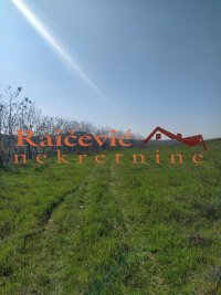 Nekretnina: VOZDOVAC Ripanj ID: 93068