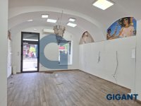 Nekretnina: OPŠTINA ZEMUN Glavna ID: 9832332