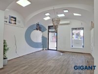 Nekretnina: OPŠTINA ZEMUN Glavna ID: 9832332
