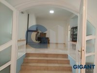 Nekretnina: VRACAR Đorđa Vajferta ID: 984075
