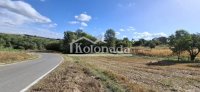 Nekretnina: Plac u Nemenikućama, Kosmaj, Sopot ID#7326