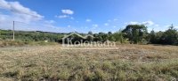 Nekretnina: Plac u Nemenikućama, Kosmaj, Sopot ID#7326