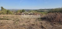 Nekretnina: Plac u Babama, Kosmaj, Sopot ID#7526