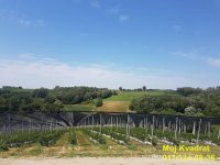 Nekretnina: Kosmaj - Rogača, 391.22 ara