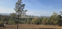 Nekretnina: Parcele sa panoramskim pogledom, Rogača, Kosmaj, Sopot ID#8326